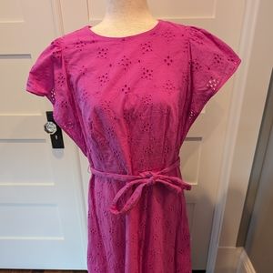 Ann Taylor evellet dress sz 12